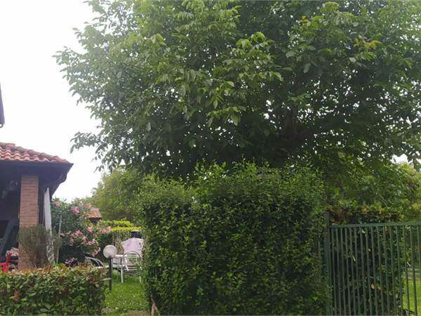 APPARTAMENTO 