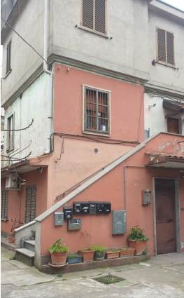 Foto1