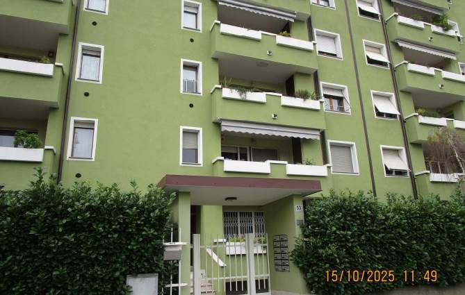 Foto1