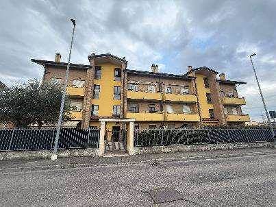 Foto1